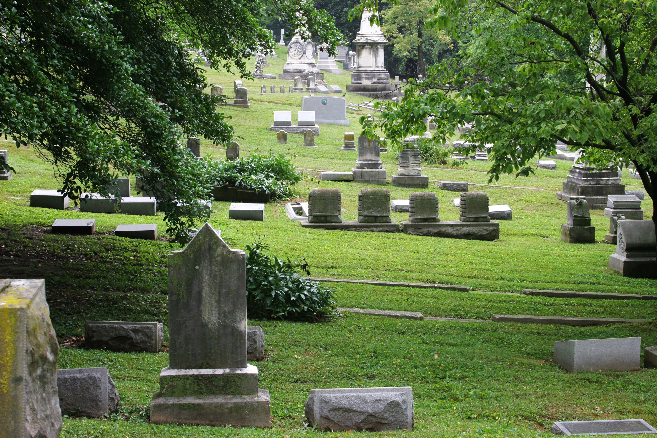 Beautifying a Final Resting Place: Understanding Cemetery Regulations for Plot Care