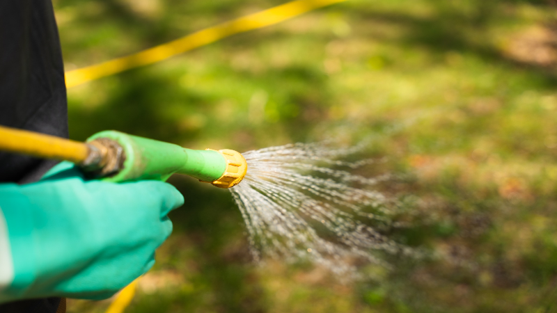 Getting Help with Lawn Care Weed Control in Louisville, KY