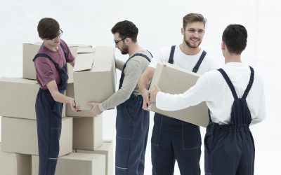 Best Local Moving Companies Near Maple Grove MN: Stress-Free Relocation